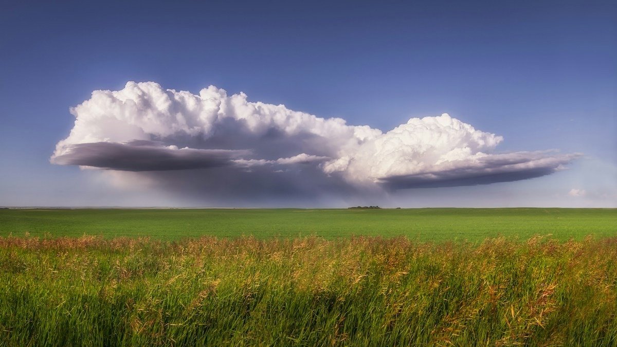 A towering storm cloud building over flat green farmland