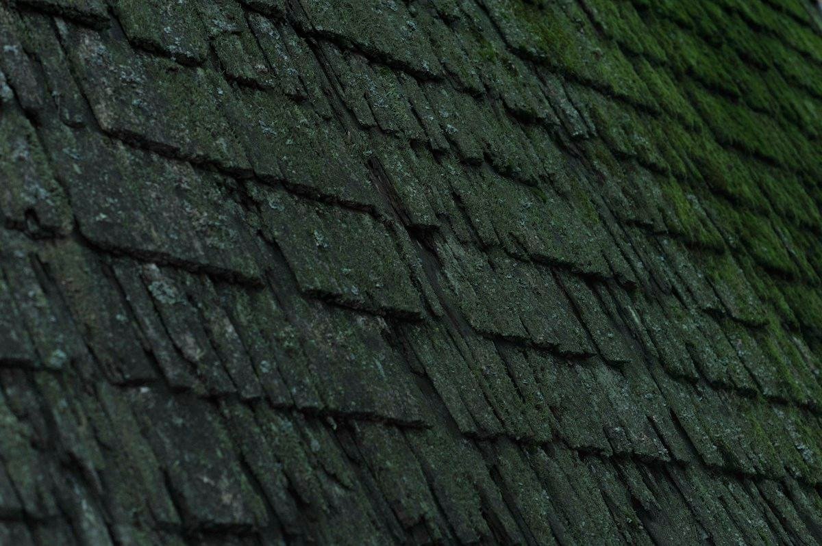Old, worn shingles with moss growing along the edges